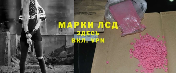 прущие грибы Сатка
