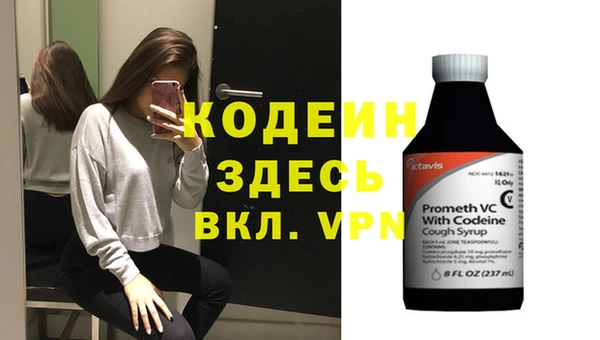 прущие грибы Сатка