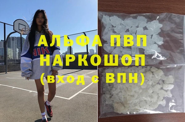прущие грибы Сатка