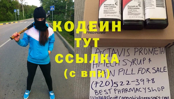 прущие грибы Сатка