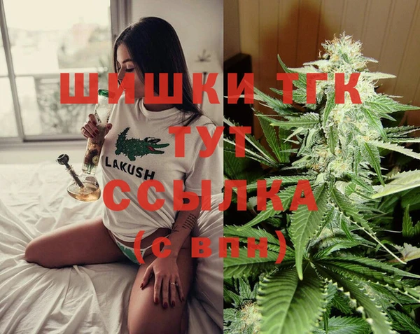 прущие грибы Сатка